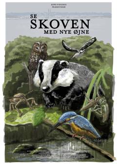 Se skoven med nye øjne