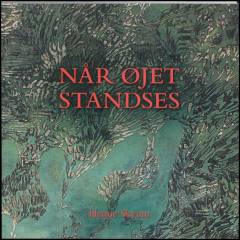 Når øjet standses
