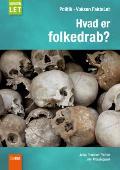 Hvad er folkedrab? (Letlæsning)