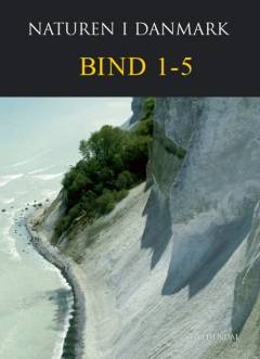 Bog, 1. udgave, 2006