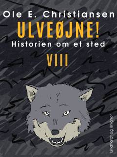Ulveøjne : en fortælling om nogle mennesker et sted i Danmark i sidste halvdel af 1600-tallet