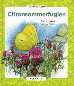 Citronsommerfuglen