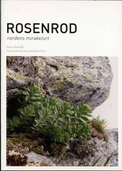 Rosenrod : Nordens mirakelurt
