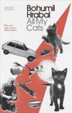 All my cats