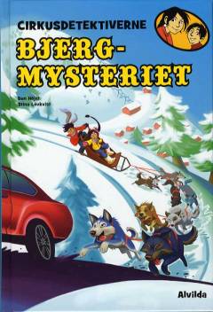Bjergmysteriet