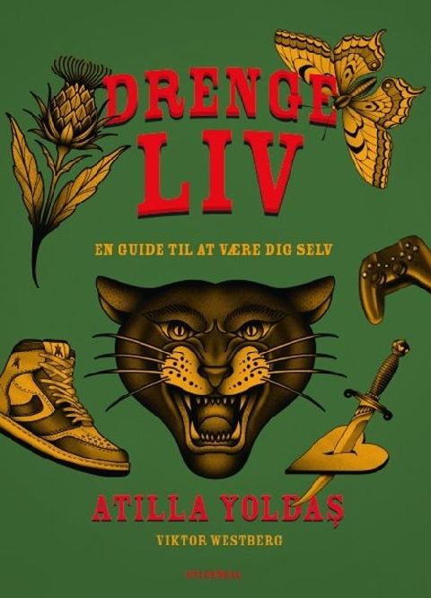 Drengeliv : en guide til at være dig selv