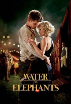Film (dvd), 2011