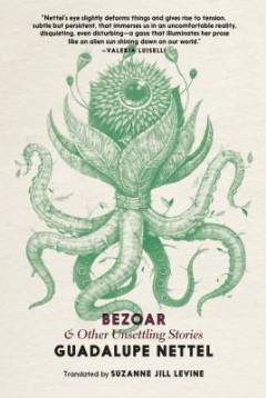 Bezoar : and other unsettling stories