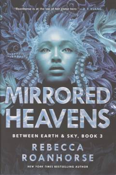 Mirrored heavens