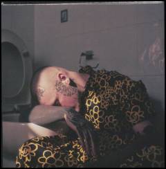 A garden of dead flowers