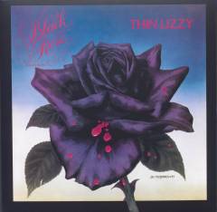 Black rose : a rock legend