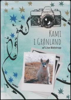 Kami i Grønland