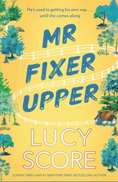 Mr. Fixer upper