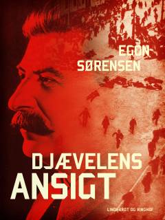 Djævelens ansigt : roman fra Estland