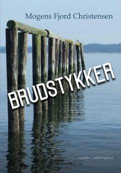 Brudstykker : noveller