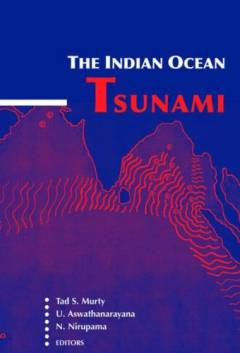 The Indian Ocean tsunami