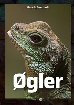 Øgler