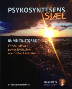 Psykosyntesens sjæl : de syv kernebegreber og veje til større: frihed, nærvær, power, fokus, flow, overflod og kærlighed