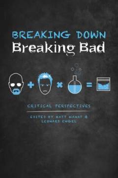 Breaking down, breaking bad : critical perspektives