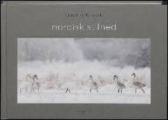 Nordisk stilhed
