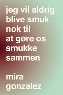Jeg vil aldrig blive smuk nok til at gøre os smukke sammen