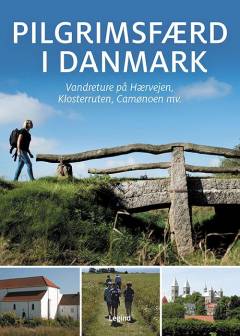 Bog, 1. udgave, Forkortet udgave, 2020