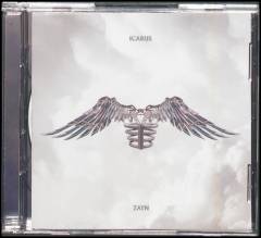 Icarus falls