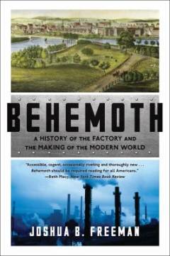 Behemoth : a history of the factory and the making of the modern world