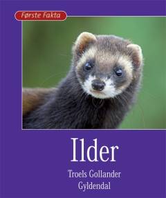 Bog, 1. udgave, 2009