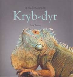 Krybdyr