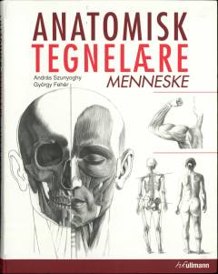 Anatomisk tegnelære. Menneske