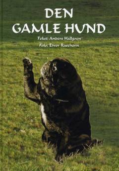 Den gamle hund : om den ældre hunds fysiske og psykiske velbefindende