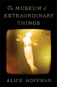 The museum of extraordinary things