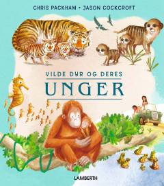 Billedbog, 2. udgave, 2025
