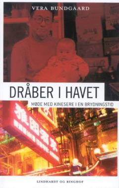 Dråber i havet : møde med kinesere i en brydningstid