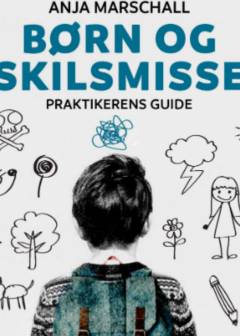 Børn og skilsmisse : praktikerens guide