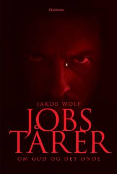 Jobs tårer : om gud og det onde