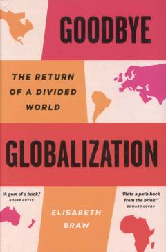 Goodbye globalization : the return of a divided world