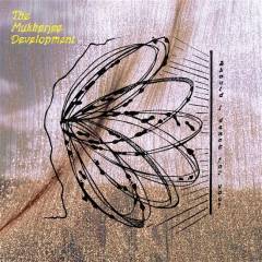 Should I dance for you?