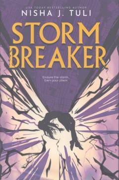 Storm breaker