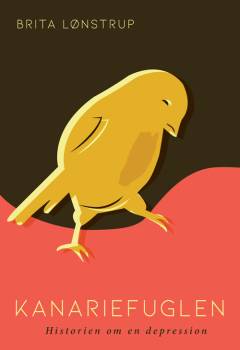 Kanariefuglen : historien om en depression