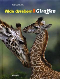 Giraffen