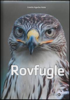 Rovfugle