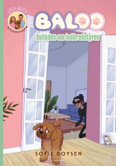 Balladen om indbrudstyven
