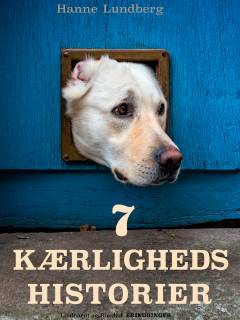 7 kærlighedshistorier