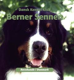 Berner sennen