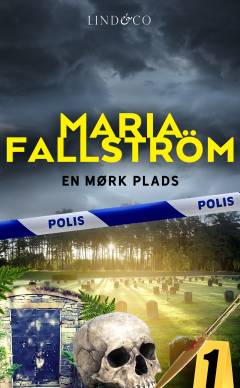En mørk plads