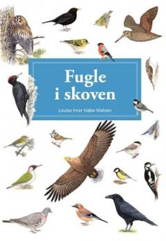 Fugle i skoven