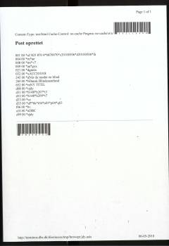 Når du møder en blind