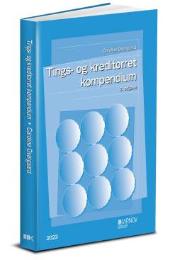 Tings- og kreditorret : kompendium